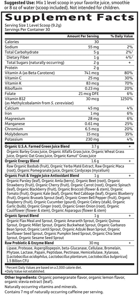 Garden of Life Raw Organic Perfect Food Energizer Juiced Green Superfood Powder Yerba Mate Pomegranate 30 Servings Green Superfood Powder &amp Probiotics Gluten Free Whole Food (Pack of 2)