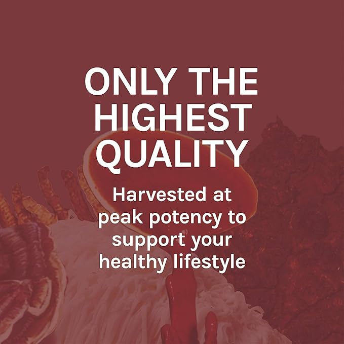 Host Defense Reishi Extract - Heart &amp Immune Health Support Supplement - Mushroom Supplement to Support Energy &amp Vitality - Reishi Supplement to Aid Overall Well-Being - 2 fl oz (60 Servings)*