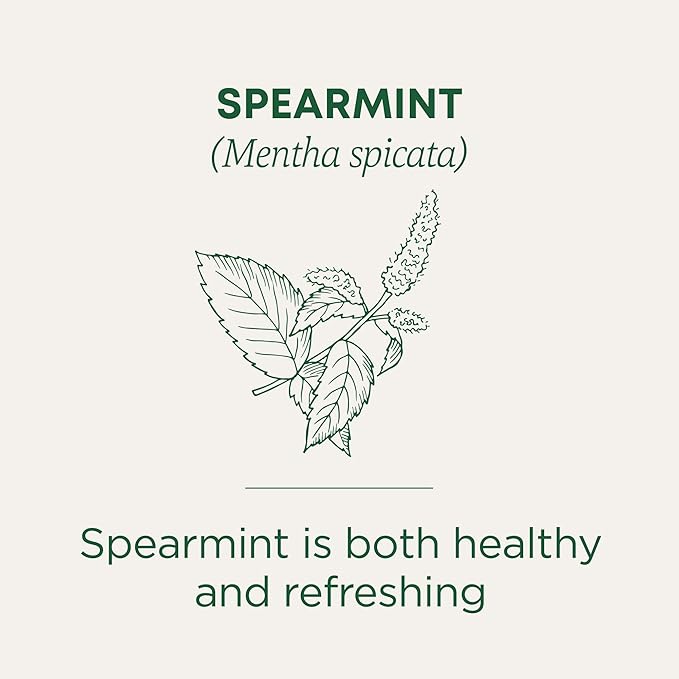 Traditional Medicinals Tea Organic Spearmint Supports Everyday Wellness Healthy &amp Refreshing 96 Tea Bags (6 Pack)
