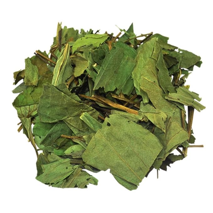 Organic Natural Pure Saururus Chinensis(lizard's tailhouttuynia) Extract Powder -10.58 Ounce (300g)