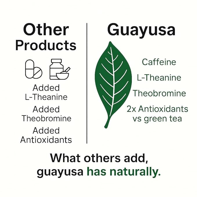 GUAYUSA TEA BAGS by PACHA | Naturally High in Antioxidants L-Theanine &amp Theobromine | Sustained Energy Herbal Tea | Alternative to Yerba Mate Coffee Black and Green Tea. (50 Count Golden Guayu