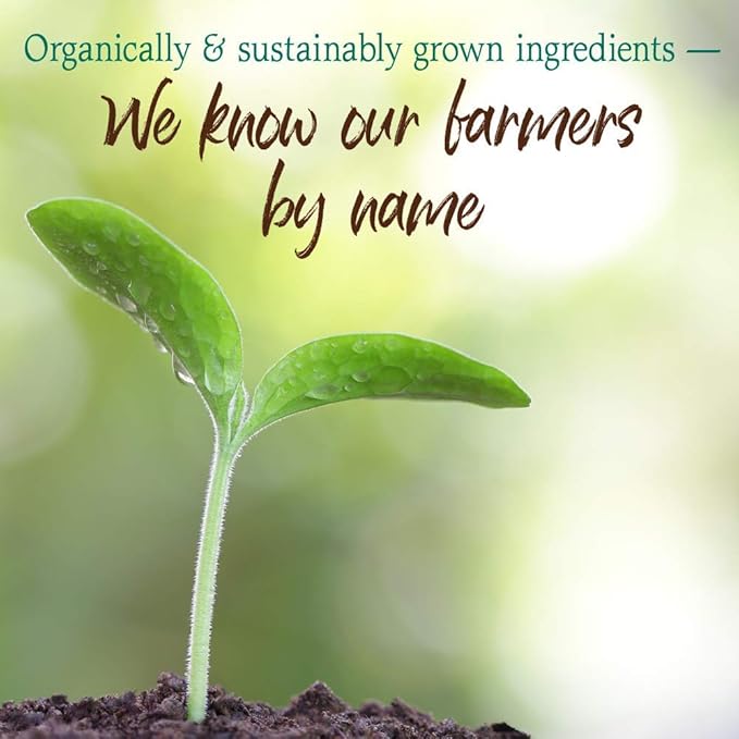 Garden of Life Raw Organic Perfect Food Green Superfood Juiced Greens Powder - Chocolate 60 Servings Non-GMO Gluten Free Vegan Whole Food Dietary Supplement Plus Probiotics Enzymes
