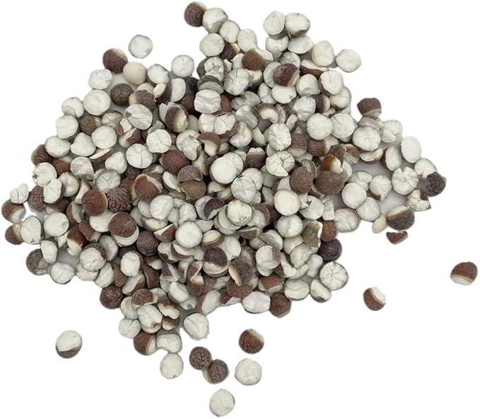 Greenlike Qian Shi Euryale Ferox Salisb Dried Fox Nuts 芡实 (16oz)