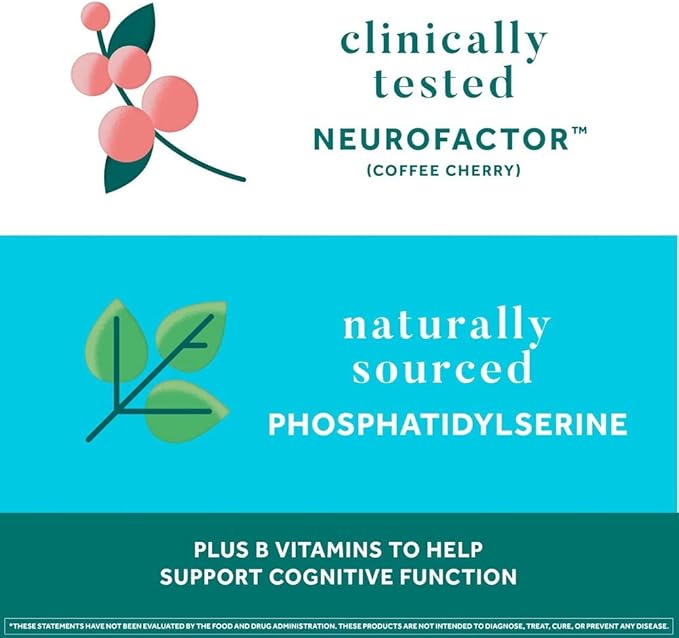 NEURIVA Plus Brain Supplement for Memory Focus &amp Concentration + Cognitive Function with Nootropics Phosphatidylserine and Neurofactor VIT B6 &amp B12 Strawberry Flavor 50 Gummies (2 Pack)