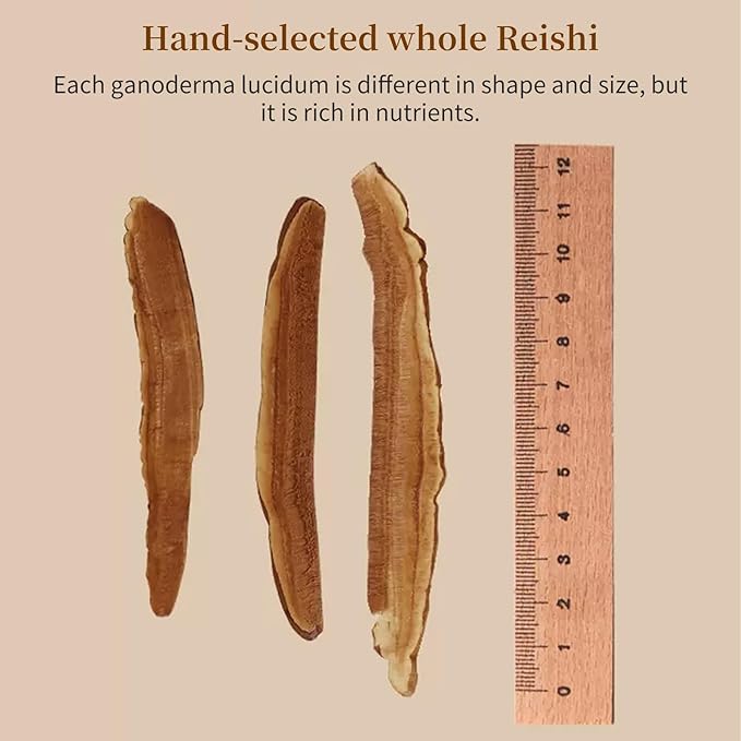 Reishi Mushroom Tea Loose Dried Red Reishi Mushroom Slice Lingzhi Ganoderma Mushroom Lucidum Loose Slices 灵芝 灵芝片4.23oz/120g