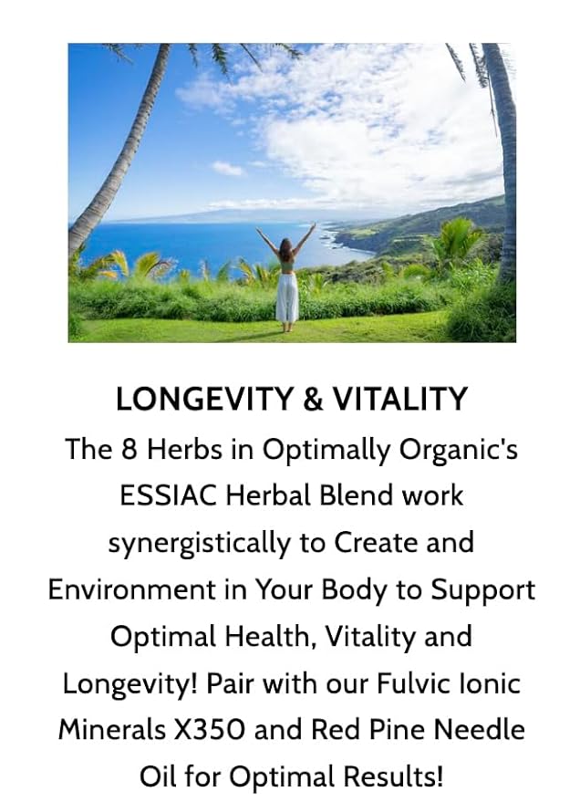 Optimally Organic ESSIAC Tea - Tea Bag Cut - 8 Herb Recipe by Rene Caisse! USA &amp EU Grown Burdock Root - Sheep Sorrel Whole Plant with Roots - Blessed Thistle - Kelp - Watercress Red Clover Slip