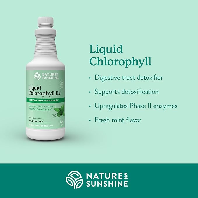 Nature's Sunshine Liquid Chlorophyll Extra Strength - Immunity Support Detox &amp Cleanse Chlorophyll Liquid Drops with Spearmint Oil Natural Energy Boost Internal Deodorant - 16 Fl Oz