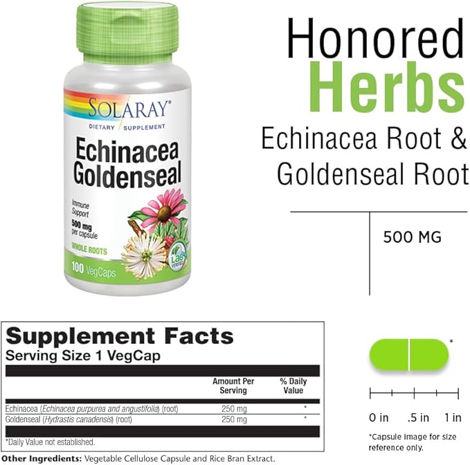 SOLARAY Echinacea Root &amp Goldenseal Root Supplement - 500 mg per Serving Non-GMO Vegan &amp Lab Verified - 100 Count VegCaps