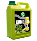 Possmei Kumquat Flavored Syrup 5.5 Pound Plastic Jar 1 Pack