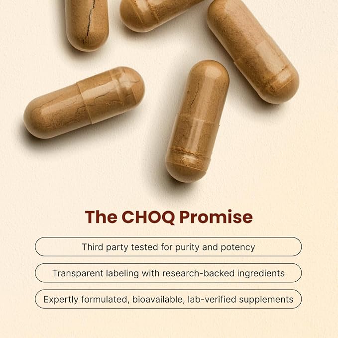 CHOQ Daily with 500mg PrimaVie Shilajit Safed Musli Tribulus - Natural Energy Libido &amp Muscle Support - Daily Supplement for Men 60 Vegan Capsules