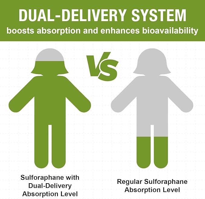 800 MG Liposomal Sulforaphane Powerful Dual-Delivery for Maximum Absorption &amp Potency Full-Spectrum Broccoli Extract Antioxidant &amp Liver Supplement 60 Softgels