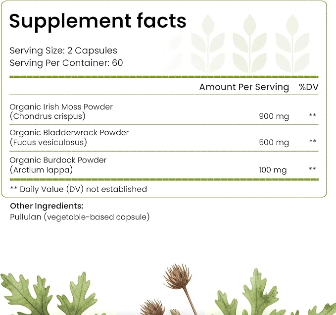 Organic Irish Sea Moss Capsules: Wildcrafted Sea Moss Burdock Root &amp Bladderwrack Prebiotic Super Food for Immune Support Thyroid Support Natural Energy -120 Caps
