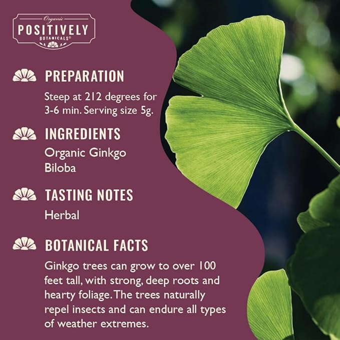 Organic Positively Botanicals Company Ginkgo Biloba Herbal Tea Loose Leaf Botanical 16 Ounce
