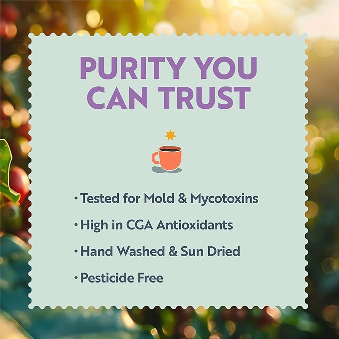 Clean Coffee Co. - Low Acid Medium Roast Tested for Molds and Toxins Costa Rica Blend Notes of Milk Chocolate Roasted Nuts Toasted Malt (Whole Bean 12 oz Bag)