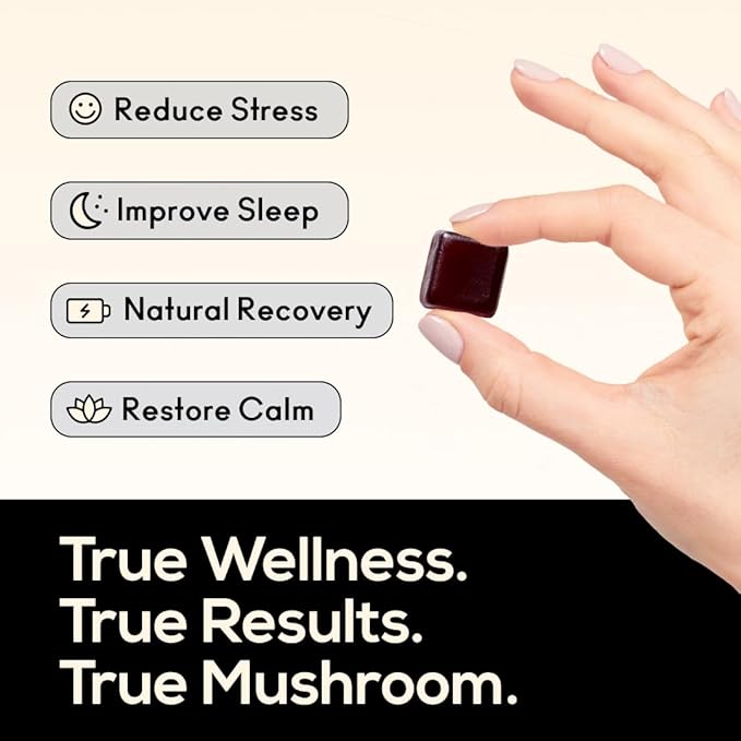TrueMushroom - Sleep Support Mushroom Gummy Supplement with Melatonin for Sleep and Relaxation with Lion’s Mane Cordyceps Reishi Shiitake. All-Natural BlackBerry Flavor Gummies (60 Count)