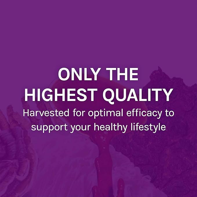 Host Defense MyCommunity Extract - 17 Species Blend Mushroom Supplement for Immune Support - Extract with Lion's Mane Reishi Chaga Cordyceps Turkey Tail &amp More - 2 fl oz (60 Servings)*
