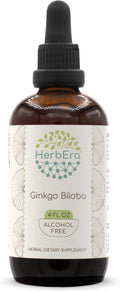 HerbEra Ginkgo Biloba B120 Alcohol-Free Herbal Extract Tincture Super-Concentrated Ginkgo Biloba Dried Leaf 4 fl oz
