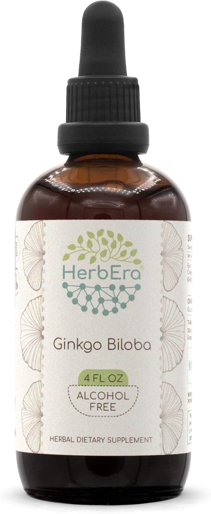 HerbEra Ginkgo Biloba B120 Alcohol-Free Herbal Extract Tincture Super-Concentrated Ginkgo Biloba Dried Leaf 4 fl oz
