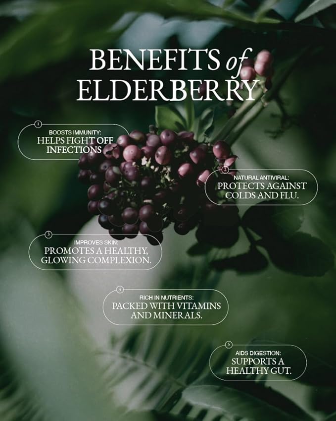 Aeon Teä Organic Elderberry and Echinacea Tea Bags (20 Count) - Herbal Tea Blend for Daily Wellness Support Antioxidant-Rich with Goji Berry &amp Green Tea Individually Wrapped
