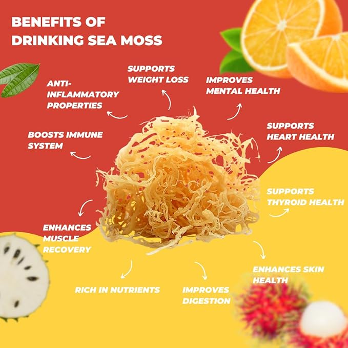 Nourish Kings- Sea Moss drink Superfood Variety Pack No Added Sugars or Preservatives 4 pack of 15.2 Fl oz Bottles