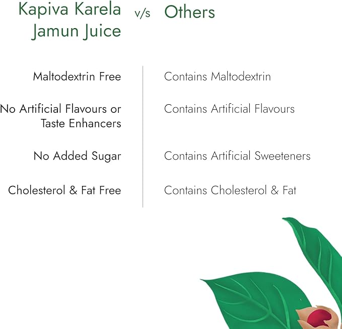 KAPIVA MEN Cholesterol Support Supplement