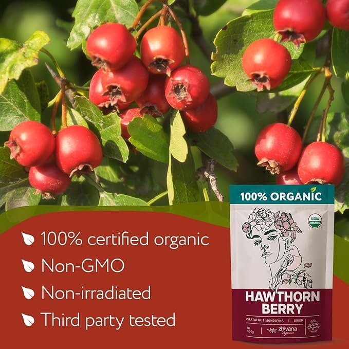 Organic Hawthorn Berry Tea (16oz.) 2 PACK - All Natural Pure Hawthorne Berries - Bulk Herbal Tea for Healthy Blood Pressure Heart Circulation