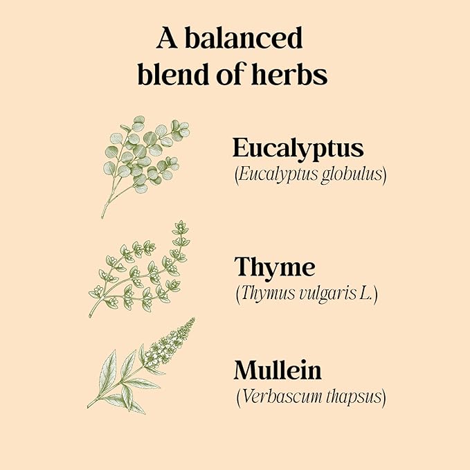 Adanim Bio Organic Thyme Eucalyptus Mullein Tea Thyme Leaves Caffeine Free Herbal Tea Thyme Leaf Tea Natural Kosher 80 Tea Bags