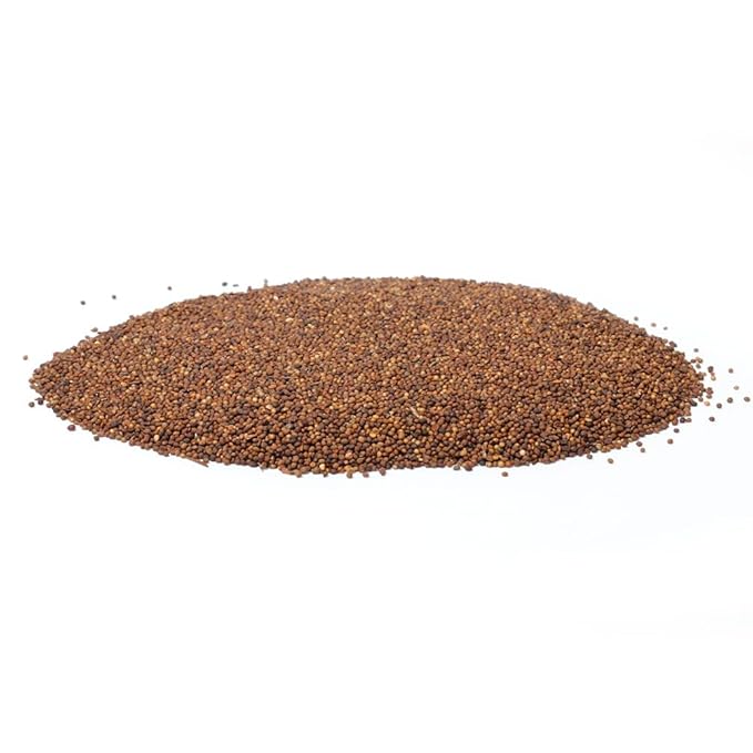 Hapsmiley Dodder Seed (Cuscuta Chinensis/Tu Si Zi/菟丝子) Dried Bulk Herbs – 3.5 oz (100g)