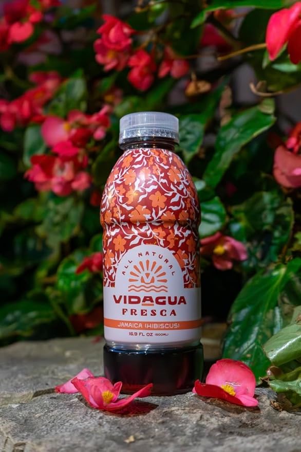 Vidagua Agua Fresca Jamaica Hibiscus Ready-to-Drink Fruit Beverage 16.9 fl oz Bottles Pack of 12