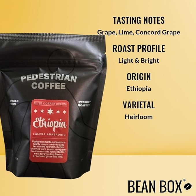 Bean Box Chicago Coffee Sampler 2-Pack - Roasted by Pedestrian Gourmet Arabica Coffee Variety Pack - Whole Bean