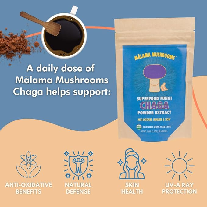Chaga Extract Powder by Malama Organic Fruiting Body Chaga Mushroom Powder Superfood Adaptogenic Supports Immune System Skin Health and Fatigue 100 Servings
