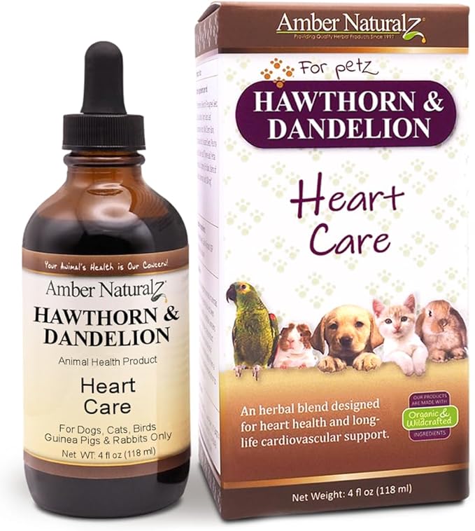 Amber NaturalZ Hawthorn &amp Dandelion Herbal Supplement for Dogs Cats Birds Rabbits and Guinea Pigs | Supports Heart Health Circulation and Fluid Balance | Natural Cardiovascular Care 4 FL Oz