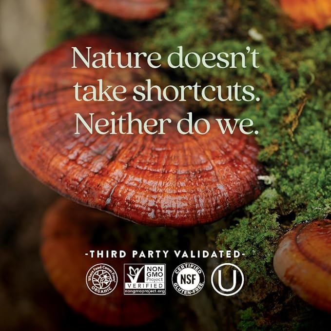 New Chapter Reishi Mushroom - LifeShield Reishi for Healthy Aging + Organic Reishi Mushroom + Vegan + Non-GMO Nootropic Ingredients - 60 ct