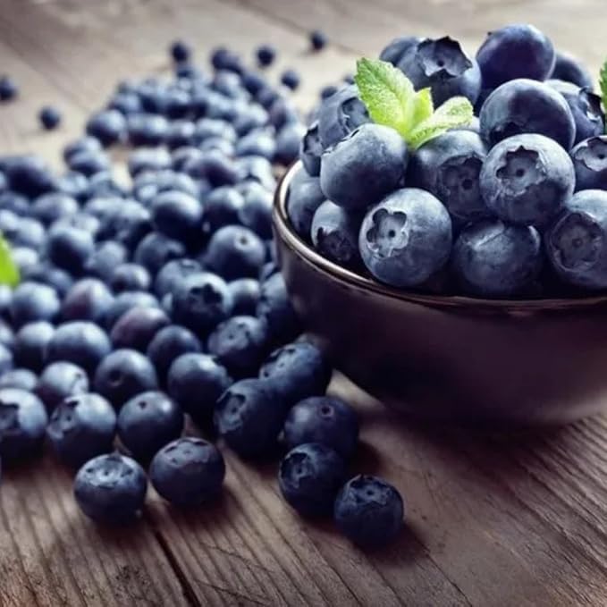 Natural Blueberry Juice Organic Additive-Free Authentic Turkish Product 1000 ml/33.8 fl oz - PACK OF 2