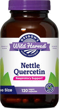 Oregon's Wild Harvest Nettle Quercetin Capsules - Verified Non-GMO - Value Size - 120 Count