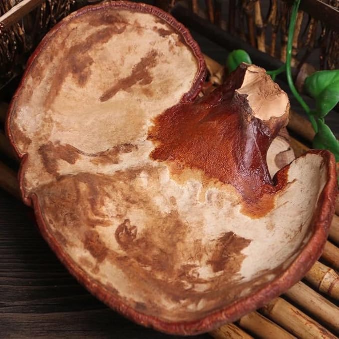Dired Ganoderma Lucidum Lingzhi Ganoderma Lucidum Pieces Reishi Mushroom SlicesGanoderma Mushroom (500 Grams /1.10 lbs)