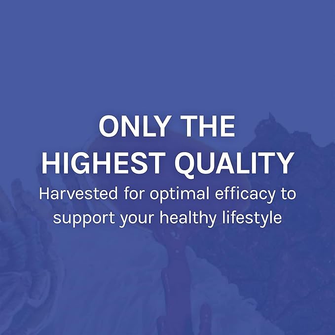Host Defense Stamets 7 Extract - 7 Species Blend - Mushroom Supplement for Immune Support with Royal Sun Blazei Cordyceps Reishi Maitake Lion's Mane Chaga &amp Mesima - 2 fl oz (60 Servings)*