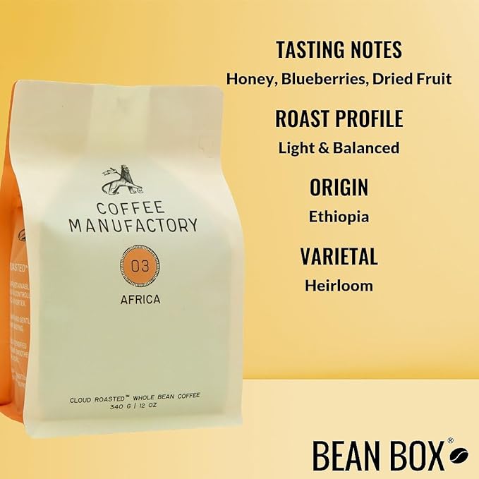 Bean Box Sampler - Roasted by Manufactory 2-Pack Whole Bean Coffee Gourmet Coffee
