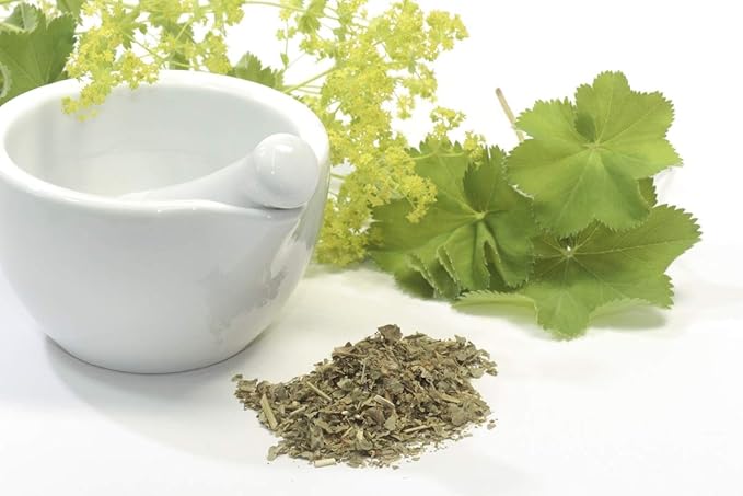 Health Embassy Ladys Mantle Herb | Alchemilla Vulgaris L | Herbal Tea (100g)