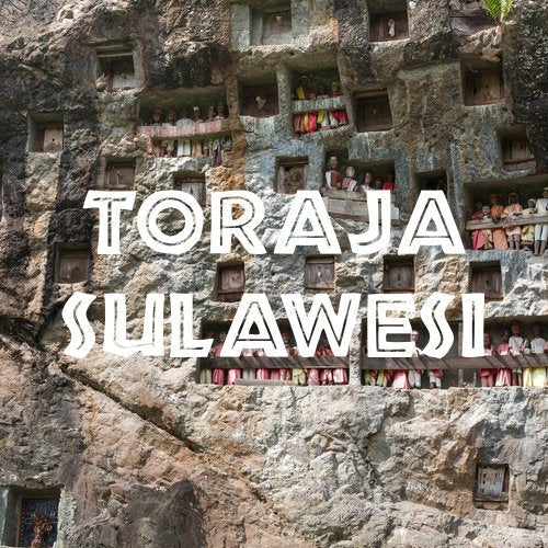 Toraja Sulawesi White Eagle Coffee Fair Trade Ground Fresh Roasted 16-ounce