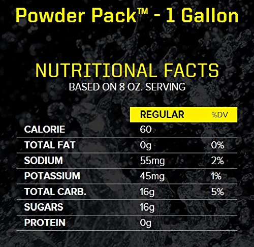 Sqwincher Powder Concentrate Electrolyte Replacement Beverage Mix 1 gal Grape 016006-GR (Case of 80)