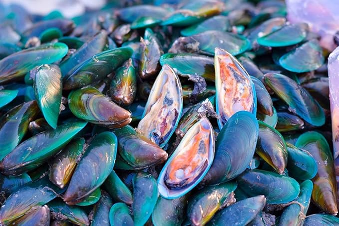 Antler Farms - 100% Pure New Zealand Green Lipped Mussel Oil Equiv. to 12500mg 120 Softgels - Powerful 125:1 Extract 2 Month Supply