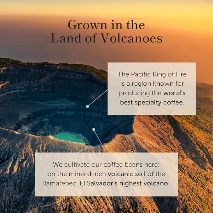 Bean of Fire El Salvador Red Bourbon Washed Ground Coffee – Medium Roast Single Origin Specialty Smooth &amp Fruity Cup (16 oz)