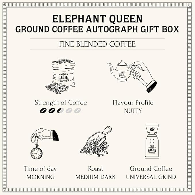 Bacha Coffee | Elephant Queen Fine Blended Coffee Autograph Collection 100% Arabica Specialty Coffee Ground Beans Medium Dark Roast 250g &amp 100% Natural Unbleached Wood Fibre Paper Filters La