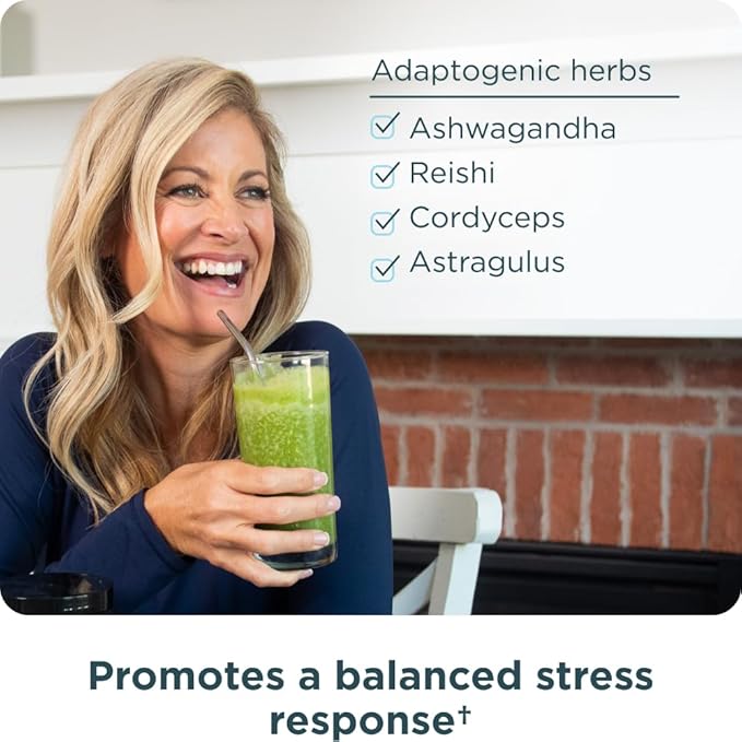 Ancient Nutrition Super Greens Powder Organic Superfood Powder with Probiotics Made with Spirulina Chlorella Matcha and Digestive Enzymes 25 Servings 7.05oz