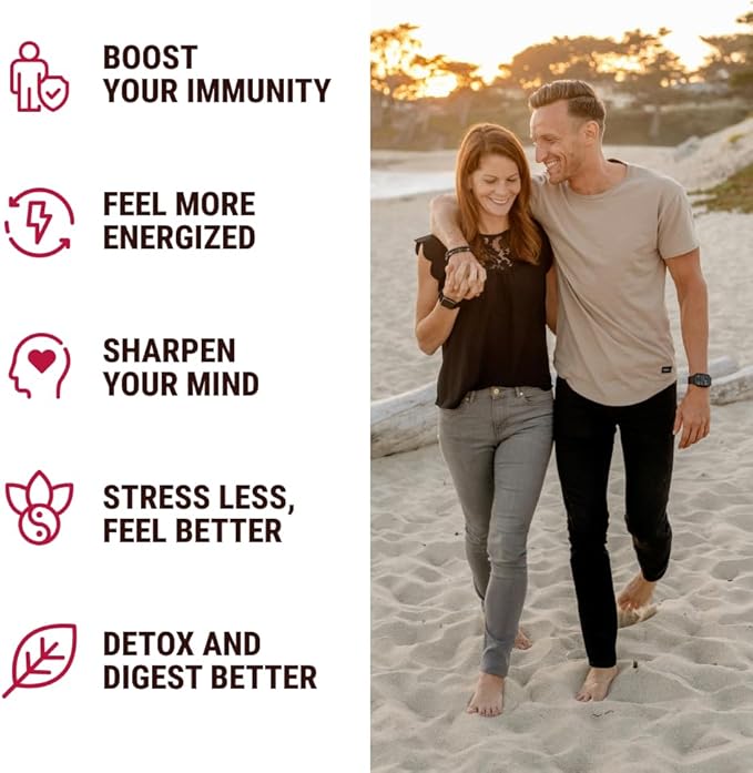 KJHD 2 Pcs Shilajit Ashwagandha Gummies with Sea Moss Beet Root Lion’s Mane Mushroom &amp Black Seed Oil – Organic Herbal Superfood Supplement – 120 Vegan Gummies