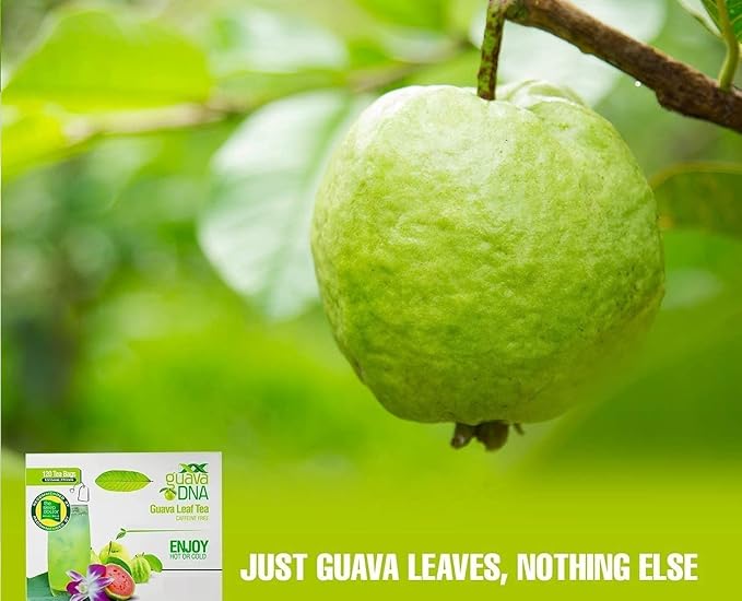 GuavaDNA Guava Leaf Tea Individually Wrapped Teabags by MATCHA DNA | 100% Pure Guava Leaves Nothing Else Added (120 Teabags)