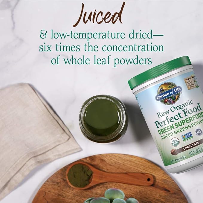Garden of Life Raw Organic Perfect Food Green Superfood Juiced Greens Powder - Chocolate 60 Servings Non-GMO Gluten Free Vegan Whole Food Dietary Supplement Plus Probiotics Enzymes