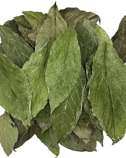 Lakdive Dehydrated Premium 200+ Natural Avocado Whole Leaves 100% Pure Leaves No Additives No Caffeine