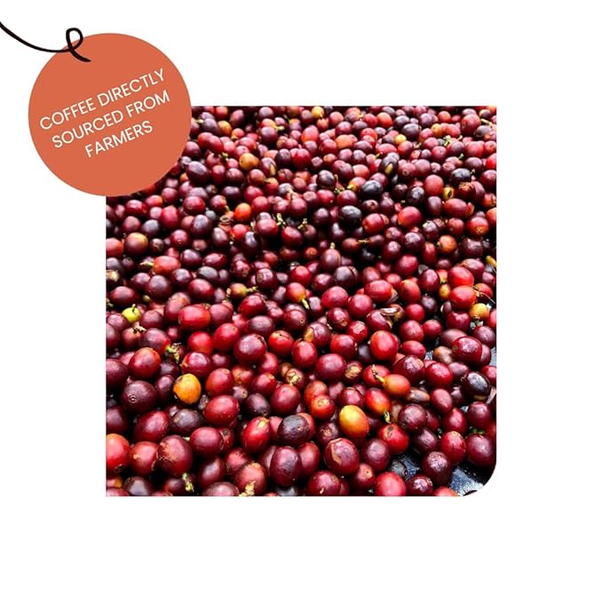 Concepcion Buena Vista - Red Bourbon Shb 100% Arabica Coffee Ground Coffee No Preservatives Coffee Sourced From Guatemala's Chimaltenango Region (Regular/Dip (Inoculated Lactic Maceration/Natural)